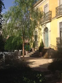 D'oc D'or - Image 2