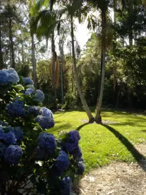 Mount Browne Cottage - Image 4