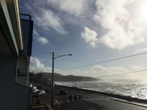 Bay Echo - Image 4