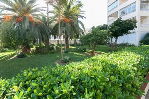 Ariadna - Image 5