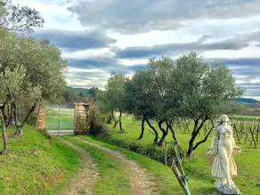La Colline Des Oliviers - Image 2