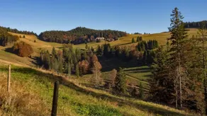Berggasthaus Gisiboden Alm - Image 2