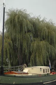 Hotel Barge Waternimf - Image 4