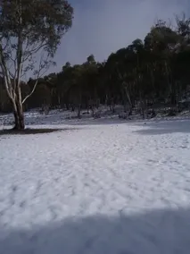 Gooandra alpine cabins - Image 3