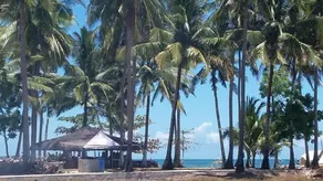 Nichos Island Resort - Image 4