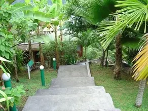 Le Jardin des Palmes - Image 4
