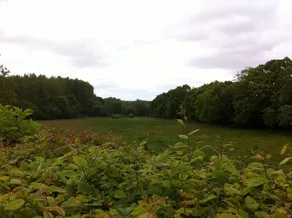 Chez Maupassant - Image 3