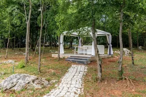 Vladimirg - Surrounded by Nature - H - Image 2