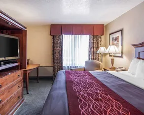 Comfort Inn Conference Center Hillsboro - Image 2