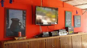Tropical Bed & Breakfast - Image 5
