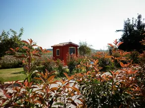B&B Corte Leopoli - Image 4