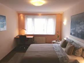 Moderne 1-zimmer Wohnung Wi-fi - Image 3