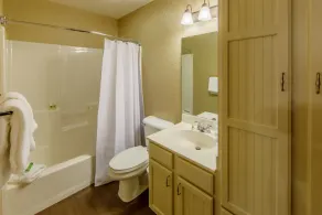 Holiday Inn Club Vacations Apple Mountain Resort - Image 3
