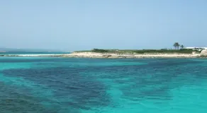 Bosque De Pere - Image 4