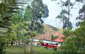 Hostal Las Camelias - Image 5