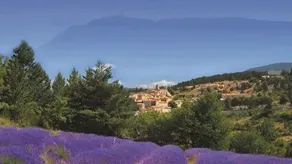Camping Domaine Provencal - Roulottes - Image 3