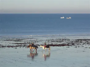 Maison de Vacances à 3 Km de la plage - Image 4