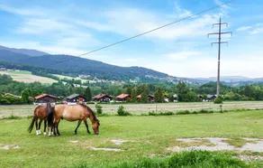 Awesome Apartment in Arrach With 2 Bedrooms and Wifi - Image 3