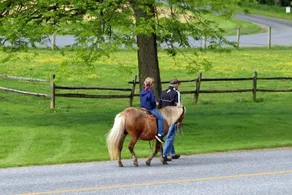 Rocky Acre Farm Bed&Breakfast - Image 3