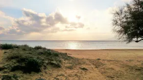 Orion Naxos Hotel - Image 2