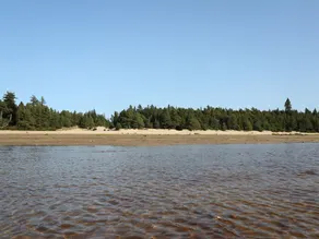 Feagour - Image 5