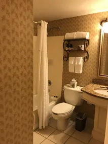 Gateway Hotel Dallas - Image 4
