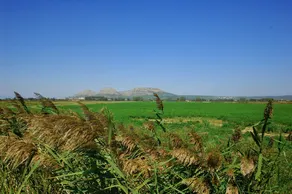 Mp-llevant - Image 2