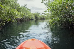 Maya Cabanas & Cenote Tulum - Image 4