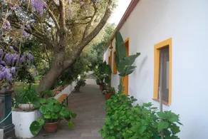 B&B Su Narboni Mannu - Image 4