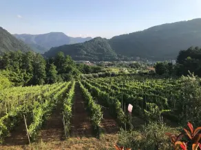 La Corona - Image 2