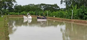 Recanto Mlaker - Image 5