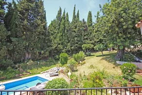 Camaleón GrupalMalaga - Image 3