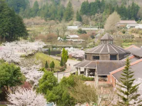 Gokurakuji Onsen Arcadia Village - Image 4