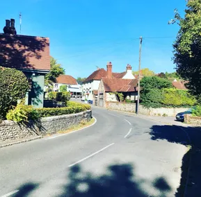 The Coach and Horses of Compton - Image 3