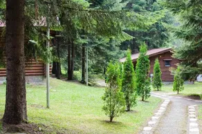 Villa Yagoda - Image 4