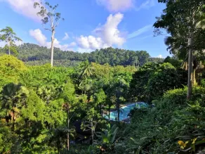 Balung River Eco Resort - Image 5
