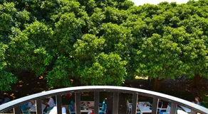 Sybelle Suites by Villa Safiya - Image 3