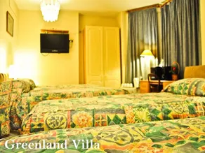 Greenland Villa - Guest house - Image 5