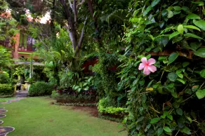 Budhas Guest House - Image 5