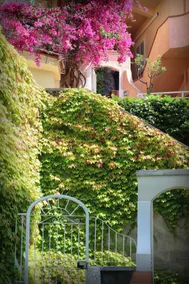 Positano Holidays - Image 2