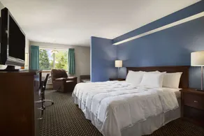 Days Inn by Wyndham Lacey Olympia Area - Image 4