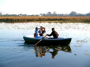 Shahpura Bagh - Image 4