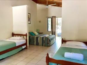 Lync Haven Rainforest Retreat - Image 4