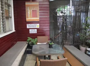 Aysha Lily Cebu Guest House - Image 3