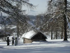 Tschögglbergerhof Gasthof Hotel - Image 4