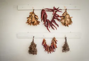 Furnirussi Tenuta - Image 3