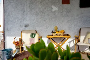 Easy Welcome Salvia - Cartolari County Apartments - Image 2