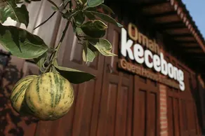 Omah Kecebong Guest House - Image 5