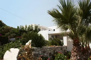 Blue Dolphin - Image 4
