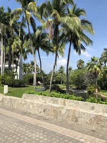 Vida Maya by Dicasi Acapulco - Image 2